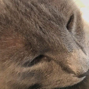 Meet your Posher, Isaac